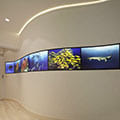 Olivier Roux - Apartment, 75003 Paris